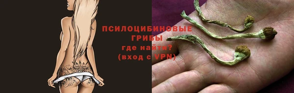 PSILOCYBIN Алексин