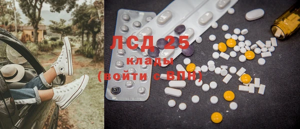 хмурый Алзамай