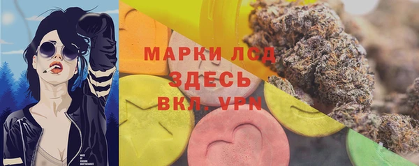 твердый Абаза