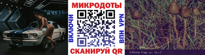 Псилоцибиновые грибы Cubensis Тверь